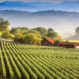 featured-photo-reduced_napa-vineyards--james-daisaflickr